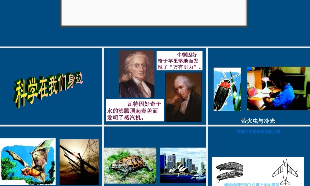 三年级科学上册 科学在我们身边课件3 青岛版