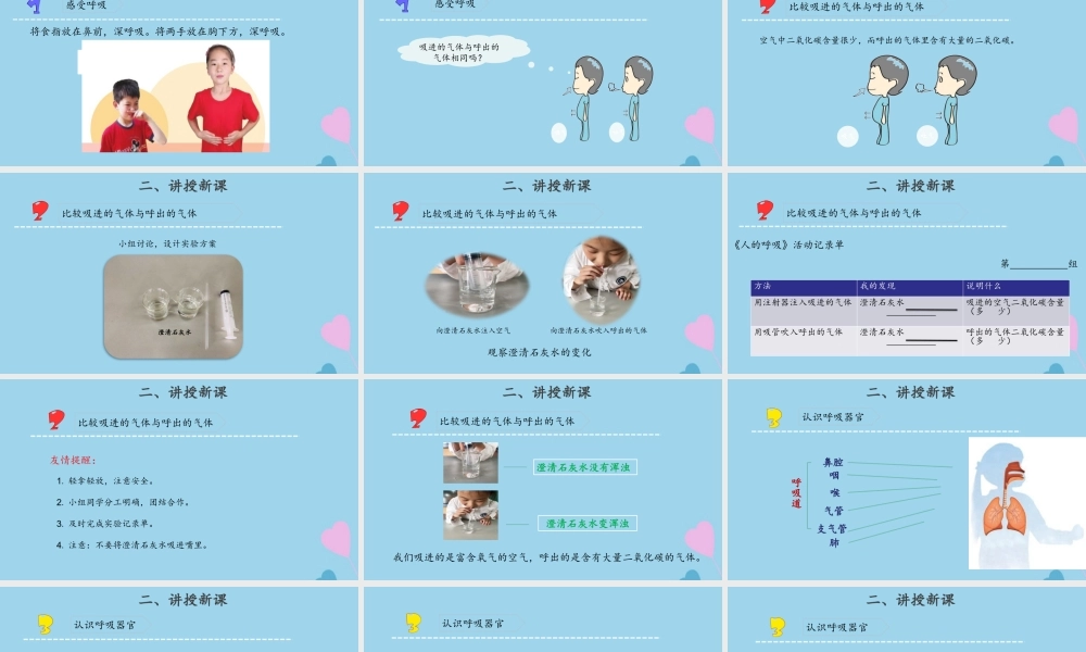 三年级科学上册 第五单元 人的呼吸和消化 16 人的呼吸课件（新版）苏教版-（新版）苏教版小学三年级上册自然科学课件