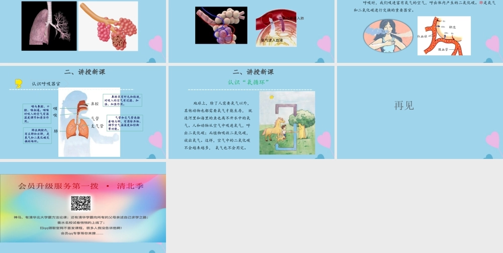 三年级科学上册 第五单元 人的呼吸和消化 16 人的呼吸课件（新版）苏教版-（新版）苏教版小学三年级上册自然科学课件