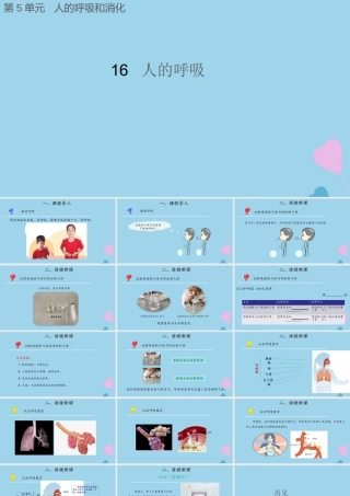 三年级科学上册 第五单元 人的呼吸和消化 16 人的呼吸课件（新版）苏教版-（新版）苏教版小学三年级上册自然科学课件