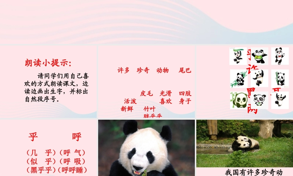 一年级语文下册 阅读八《大熊猫》课件3 教科版-教科版小学一年级下册语文课件