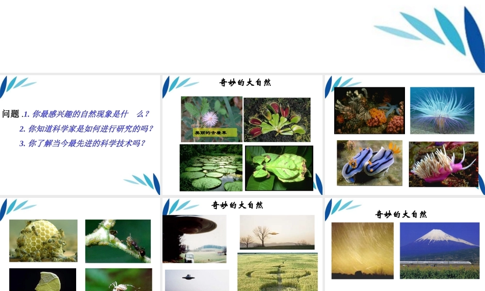 三年级科学上册 科学在我们身边课件5 青岛版