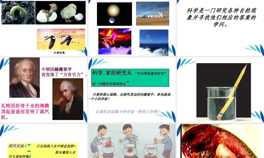 三年级科学上册 科学在我们身边课件5 青岛版