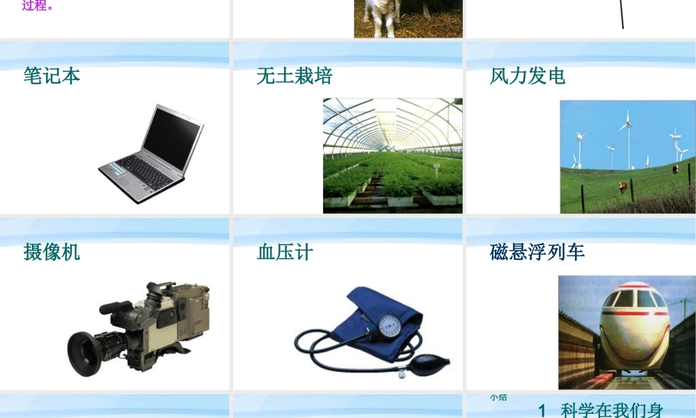 三年级科学上册 科学在我们身边课件6 青岛版