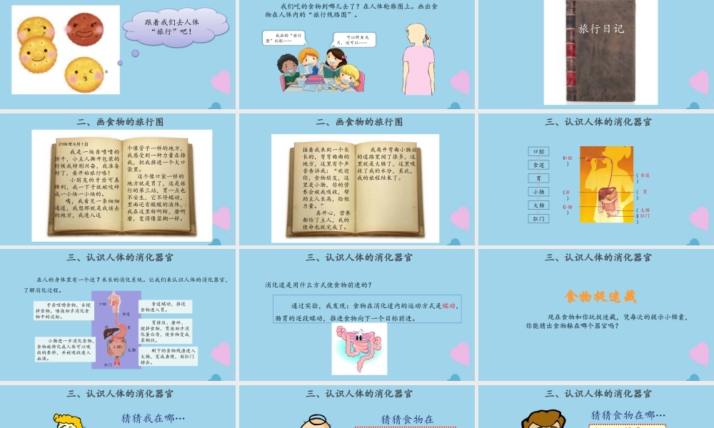 三年级科学上册 第五单元 人的呼吸和消化 18 食物的旅行课件（新版）苏教版-（新版）苏教版小学三年级上册自然科学课件