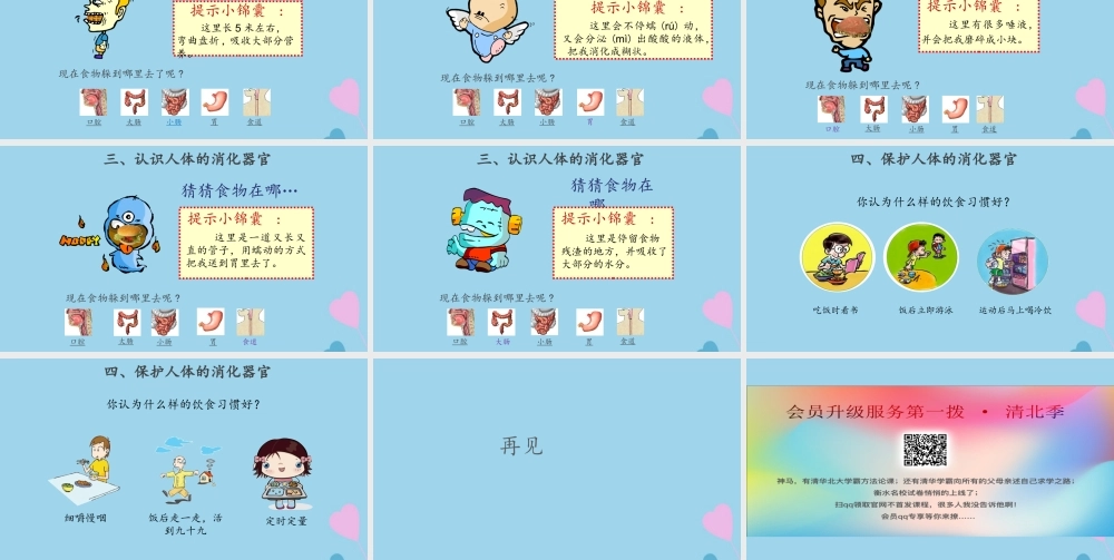 三年级科学上册 第五单元 人的呼吸和消化 18 食物的旅行课件（新版）苏教版-（新版）苏教版小学三年级上册自然科学课件