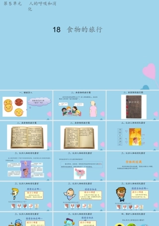 三年级科学上册 第五单元 人的呼吸和消化 18 食物的旅行课件（新版）苏教版-（新版）苏教版小学三年级上册自然科学课件