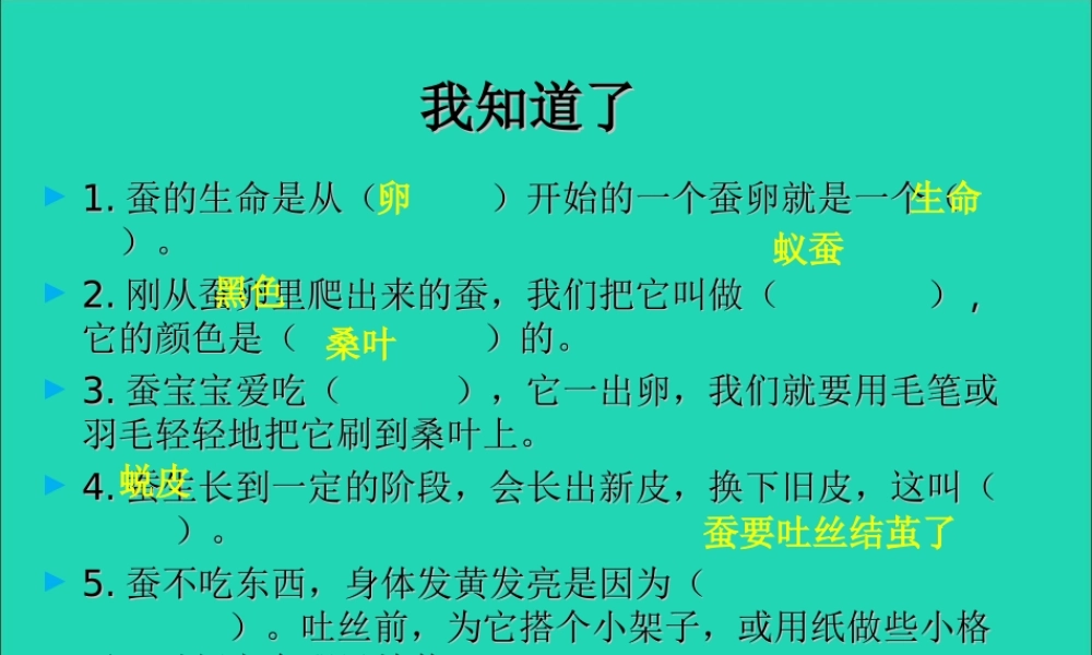 三年级科学下册 动物的生命周期 4蛹变成了什么课件 教科版-教科版小学三年级下册自然科学课件