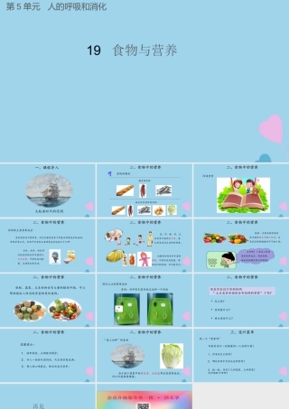三年级科学上册 第五单元 人的呼吸和消化 19 食物与营养课件（新版）苏教版-（新版）苏教版小学三年级上册自然科学课件