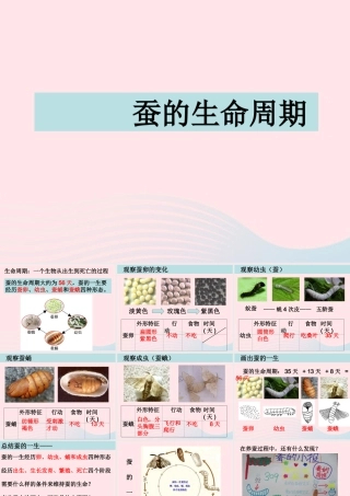 三年级科学下册 动物的生命周期 5 蚕的生命周期课件1 教科版-教科版小学三年级下册自然科学课件