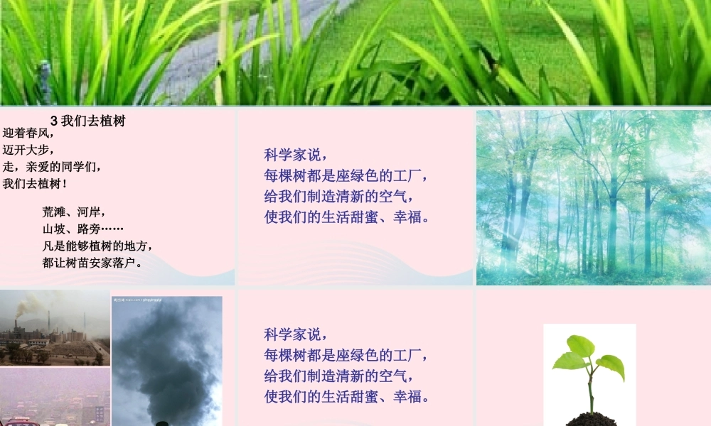 一年级语文下册 阅读二 第3课《我们去植树》课件2 教科版-教科版小学一年级下册语文课件