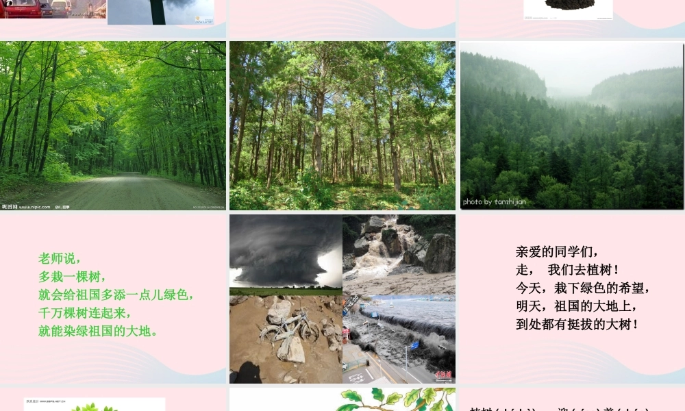 一年级语文下册 阅读二 第3课《我们去植树》课件2 教科版-教科版小学一年级下册语文课件