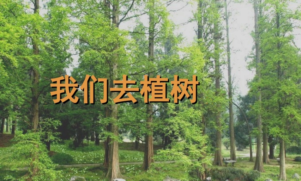 一年级语文下册 阅读二 第3课《我们去植树》课件3 教科版-教科版小学一年级下册语文课件