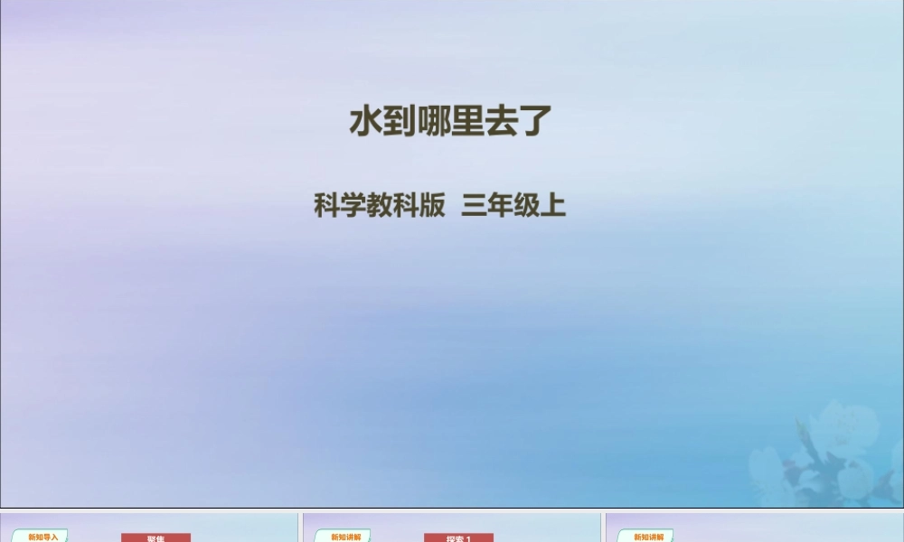 三年级科学上册 第一单元《水》1《水到哪里去了》课件 （新版）教科版-（新版）教科版小学三年级上册自然科学课件