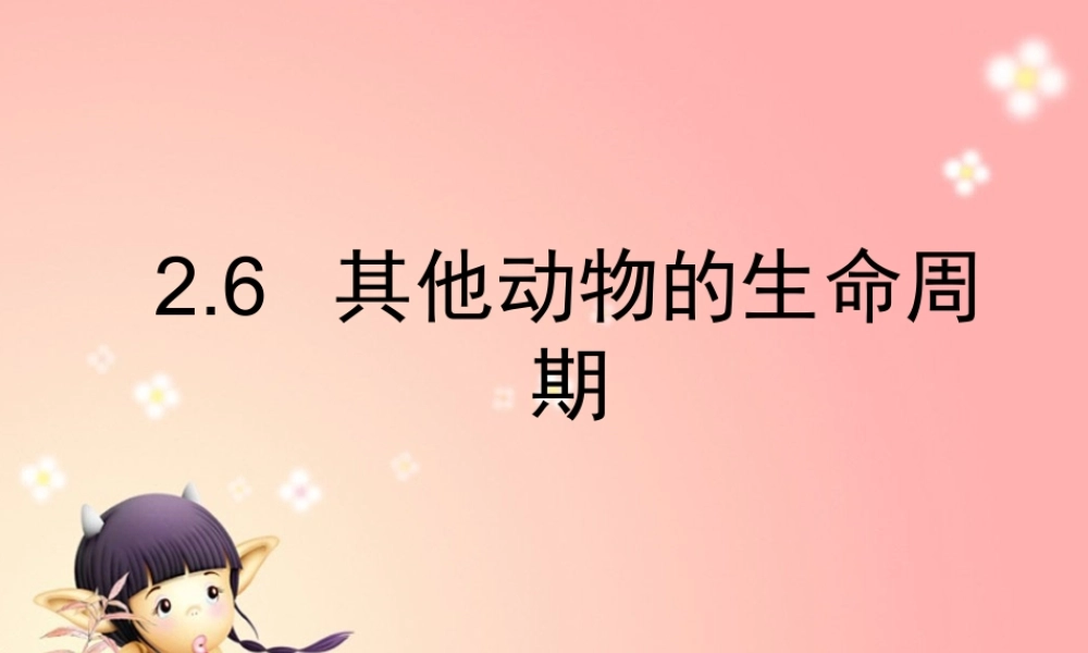 三年级科学下册 动物的生命周期 6 其他动物的生命周期课件 教科版-教科版小学三年级下册自然科学课件