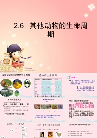三年级科学下册 动物的生命周期 6 其他动物的生命周期课件 教科版-教科版小学三年级下册自然科学课件