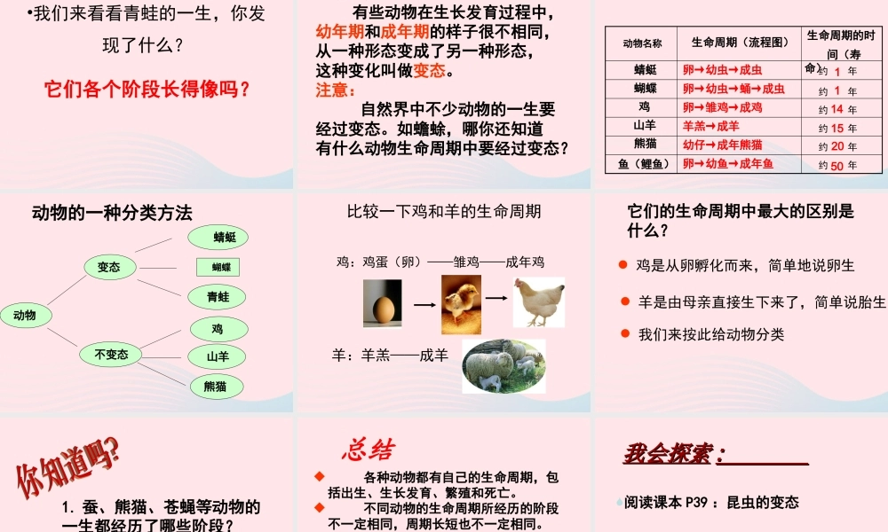 三年级科学下册 动物的生命周期 6《其他动物的生命周期》课件1 教科版-教科版小学三年级下册自然科学课件