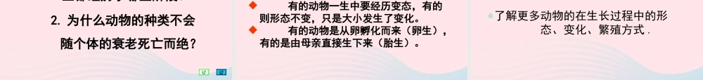 三年级科学下册 动物的生命周期 6《其他动物的生命周期》课件1 教科版-教科版小学三年级下册自然科学课件