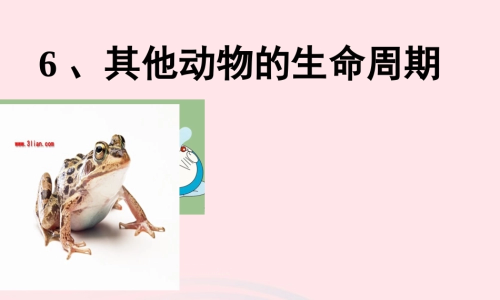 三年级科学下册 动物的生命周期 6《其他动物的生命周期》课件2 教科版-教科版小学三年级下册自然科学课件
