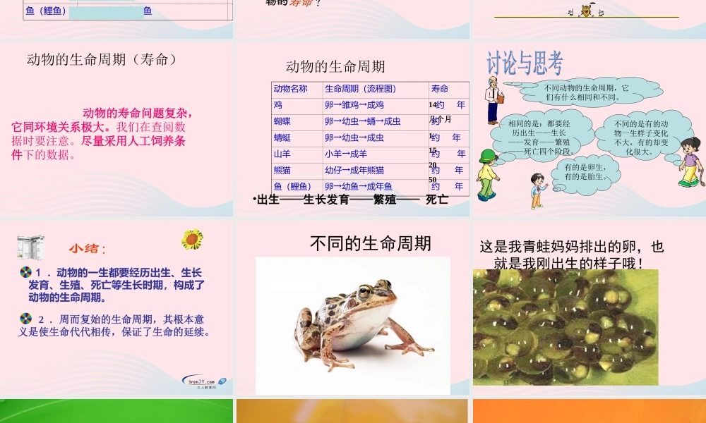 三年级科学下册 动物的生命周期 6《其他动物的生命周期》课件2 教科版-教科版小学三年级下册自然科学课件