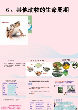三年级科学下册 动物的生命周期 6《其他动物的生命周期》课件2 教科版-教科版小学三年级下册自然科学课件