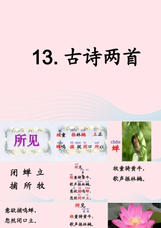 一年级语文下册 阅读二 第4课《古诗两首》（所见）课件1 教科版-教科版小学一年级下册语文课件