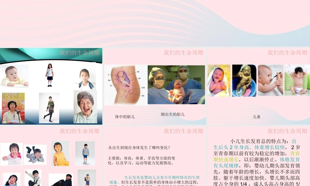 三年级科学下册 动物的生命周期 7 我们的生命周期课件1 教科版-教科版小学三年级下册自然科学课件