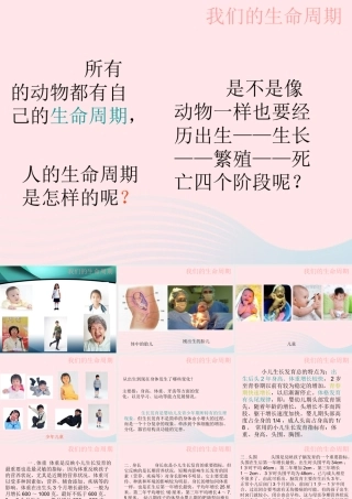 三年级科学下册 动物的生命周期 7 我们的生命周期课件1 教科版-教科版小学三年级下册自然科学课件