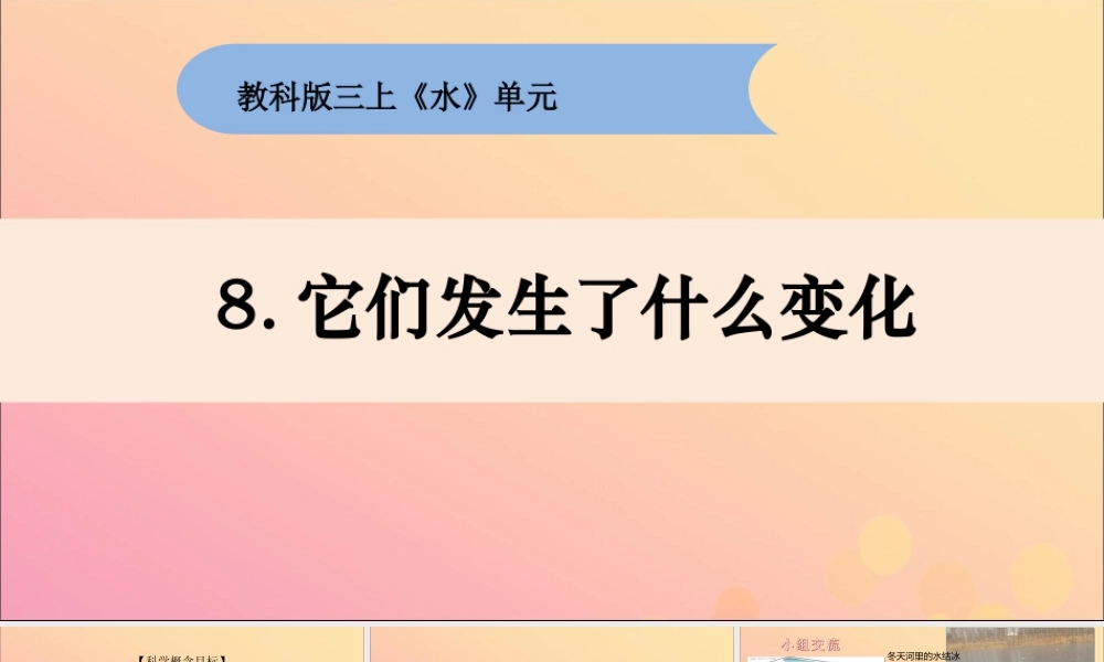 三年级科学上册 第一单元《水》8 它们发生了什么变化课件 （新版）教科版-（新版）教科版小学三年级上册自然科学课件