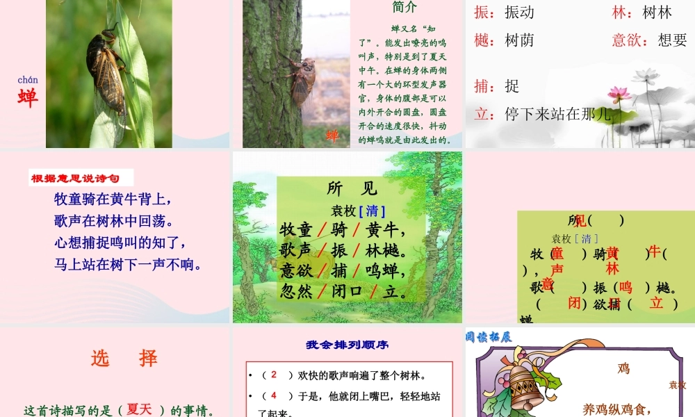 一年级语文下册 阅读二 第4课《古诗两首》（所见）课件2 教科版-教科版小学一年级下册语文课件