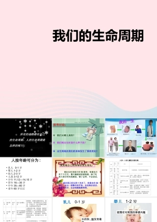 三年级科学下册 动物的生命周期 7 我们的生命周期课件2 教科版-教科版小学三年级下册自然科学课件