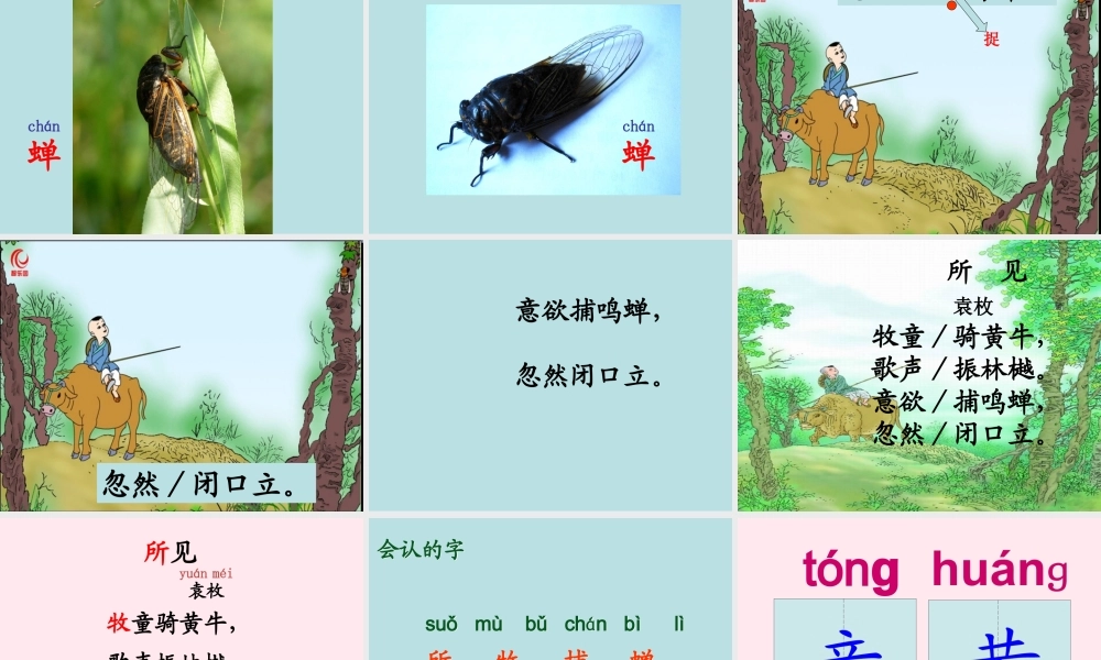 一年级语文下册 阅读二 第4课《古诗两首》（所见）课件3 教科版-教科版小学一年级下册语文课件