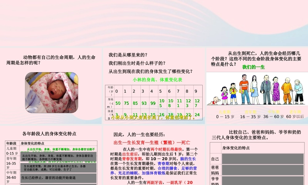 三年级科学下册 动物的生命周期 7 我们的生命周期课件3 教科版-教科版小学三年级下册自然科学课件