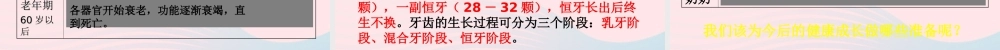 三年级科学下册 动物的生命周期 7 我们的生命周期课件3 教科版-教科版小学三年级下册自然科学课件