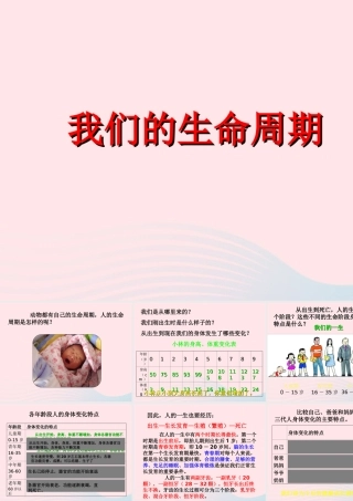 三年级科学下册 动物的生命周期 7 我们的生命周期课件3 教科版-教科版小学三年级下册自然科学课件