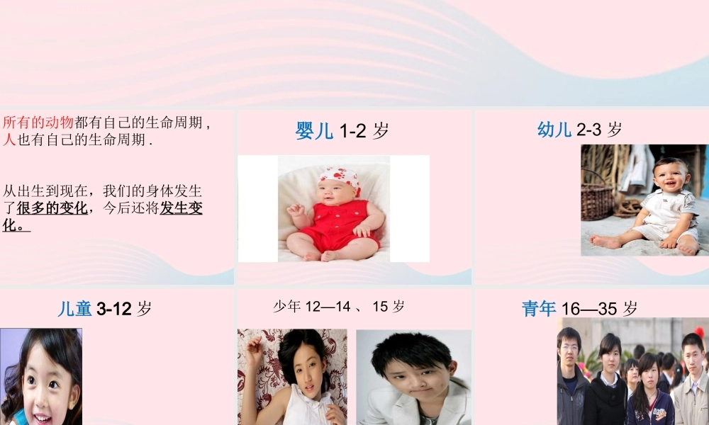 三年级科学下册 动物的生命周期 7 我们的生命周期课件4 教科版-教科版小学三年级下册自然科学课件