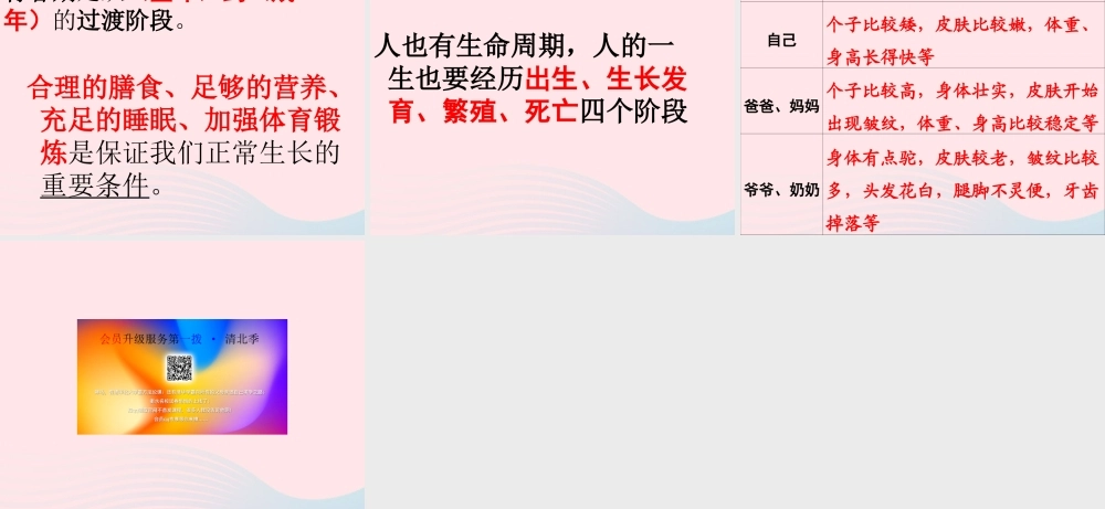 三年级科学下册 动物的生命周期 7 我们的生命周期课件4 教科版-教科版小学三年级下册自然科学课件