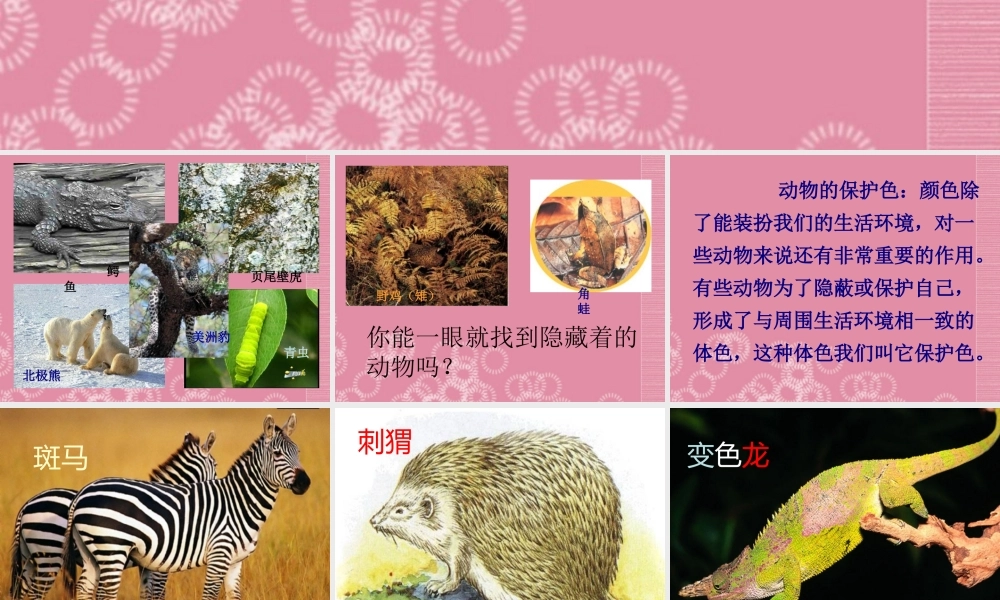 三年级科学下册 动物怎样保护自己 1课件 首师大版