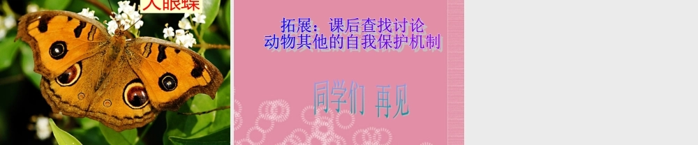 三年级科学下册 动物怎样保护自己 1课件 首师大版