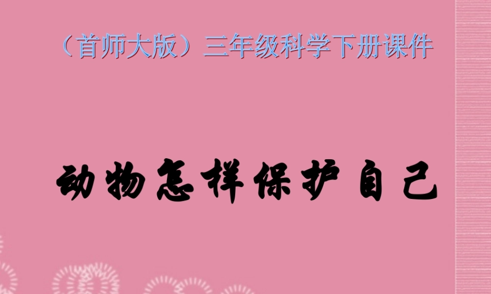 三年级科学下册 动物怎样保护自己 3课件 首师大版