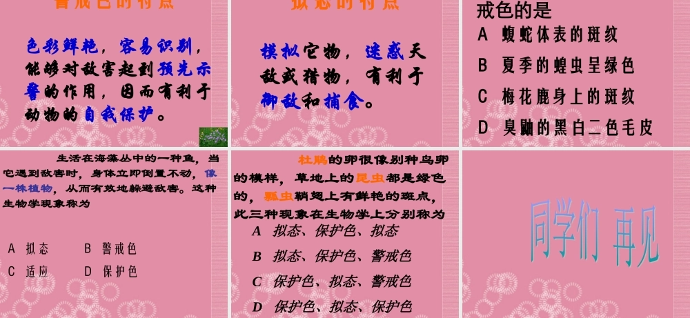 三年级科学下册 动物怎样保护自己 3课件 首师大版