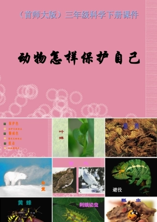 三年级科学下册 动物怎样保护自己 3课件 首师大版