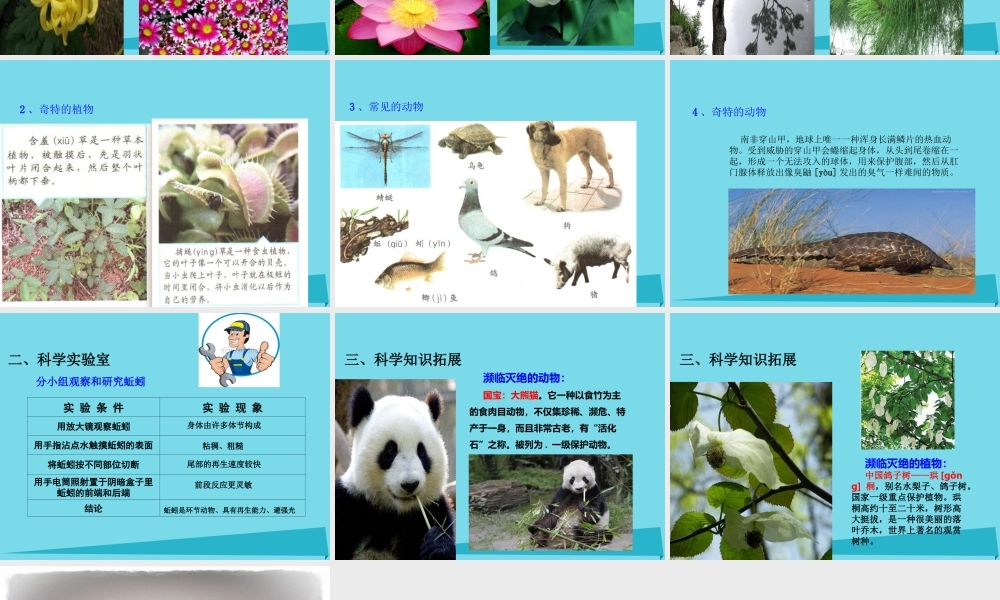 三年级科学上册 第一章 第1课 身边的动物课件1 新人教版-新人教版小学三年级上册自然科学课件