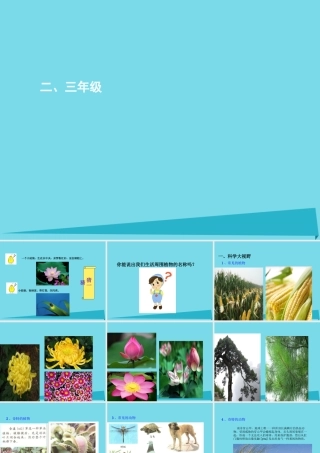 三年级科学上册 第一章 第1课 身边的动物课件1 新人教版-新人教版小学三年级上册自然科学课件