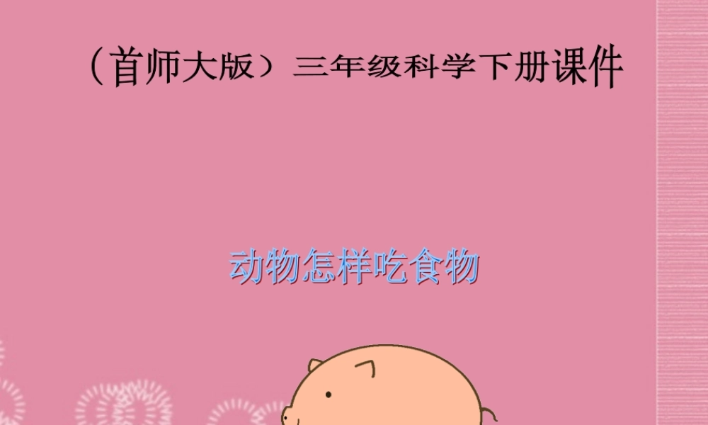 三年级科学下册 动物怎样吃食物 1课件 首师大版