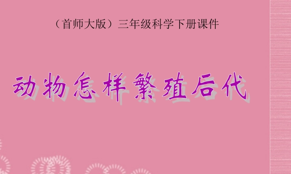 三年级科学下册 动物怎样繁殖后代 1课件 首师大版