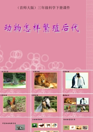 三年级科学下册 动物怎样繁殖后代 1课件 首师大版