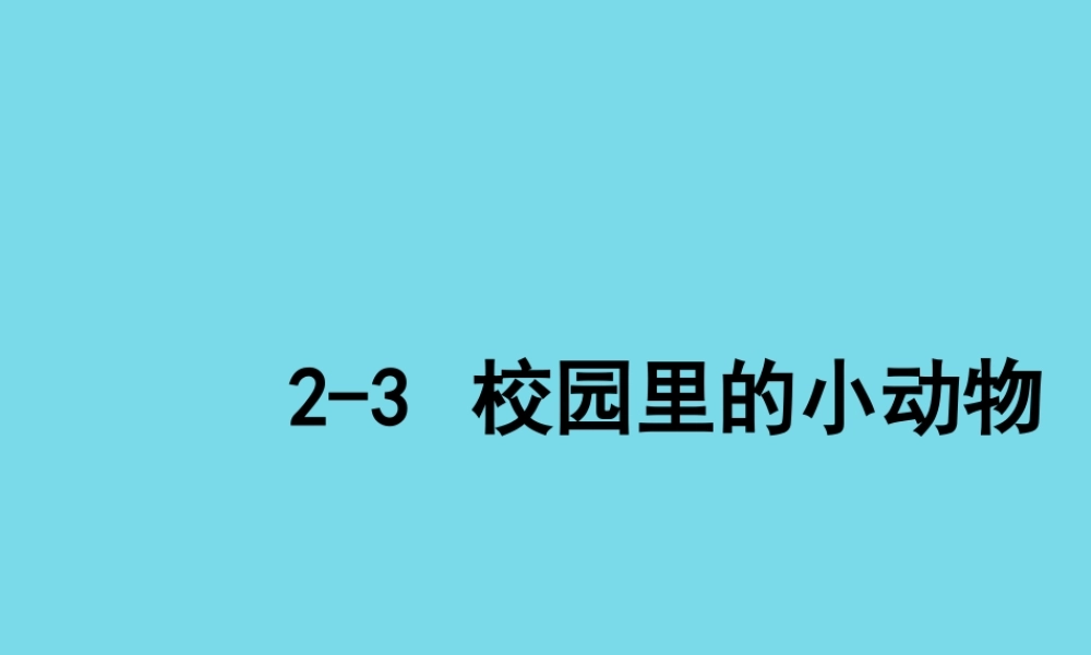 三年级科学上册 第一章 第2课 校园里的动物课件1 新人教版-新人教版小学三年级上册自然科学课件