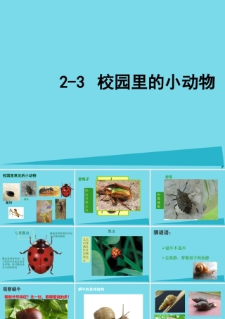 三年级科学上册 第一章 第2课 校园里的动物课件1 新人教版-新人教版小学三年级上册自然科学课件