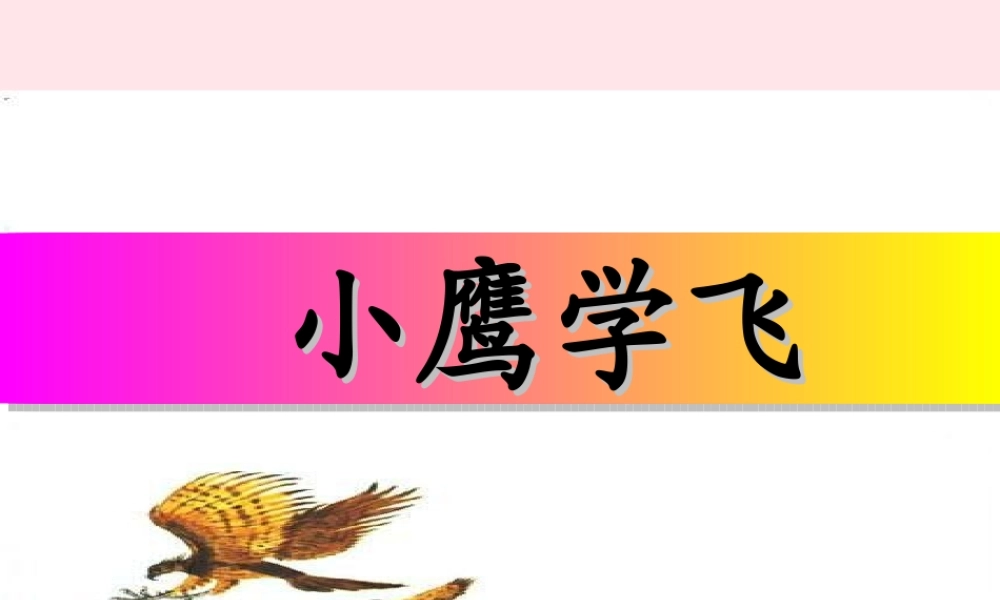 一年级语文下册 阅读九 第18课《小鹰学飞》课件 教科版-教科版小学一年级下册语文课件